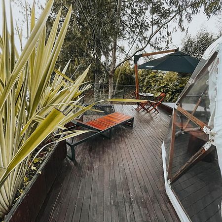 Hotel Domus Glamping Guatapé Esterno foto