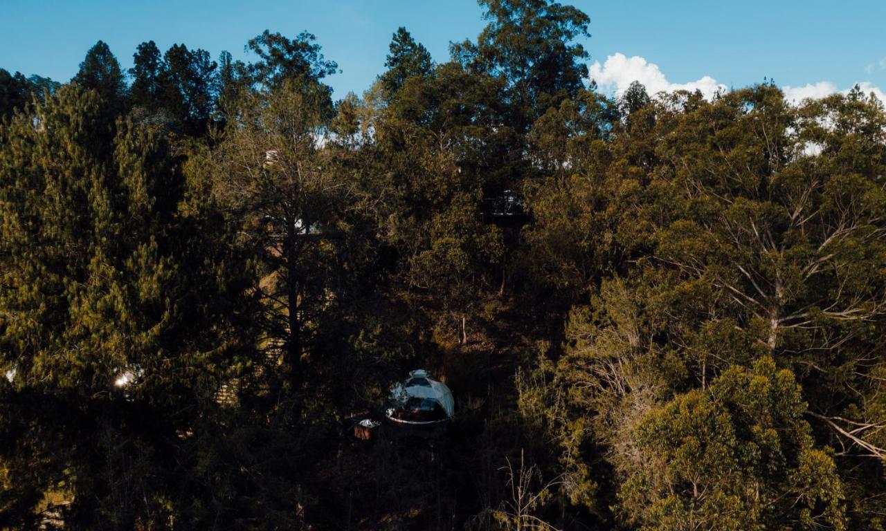 Hotel Domus Glamping Guatapé Esterno foto
